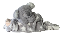 Load image into Gallery viewer, Cutesy Wootsy- Coral the Koala